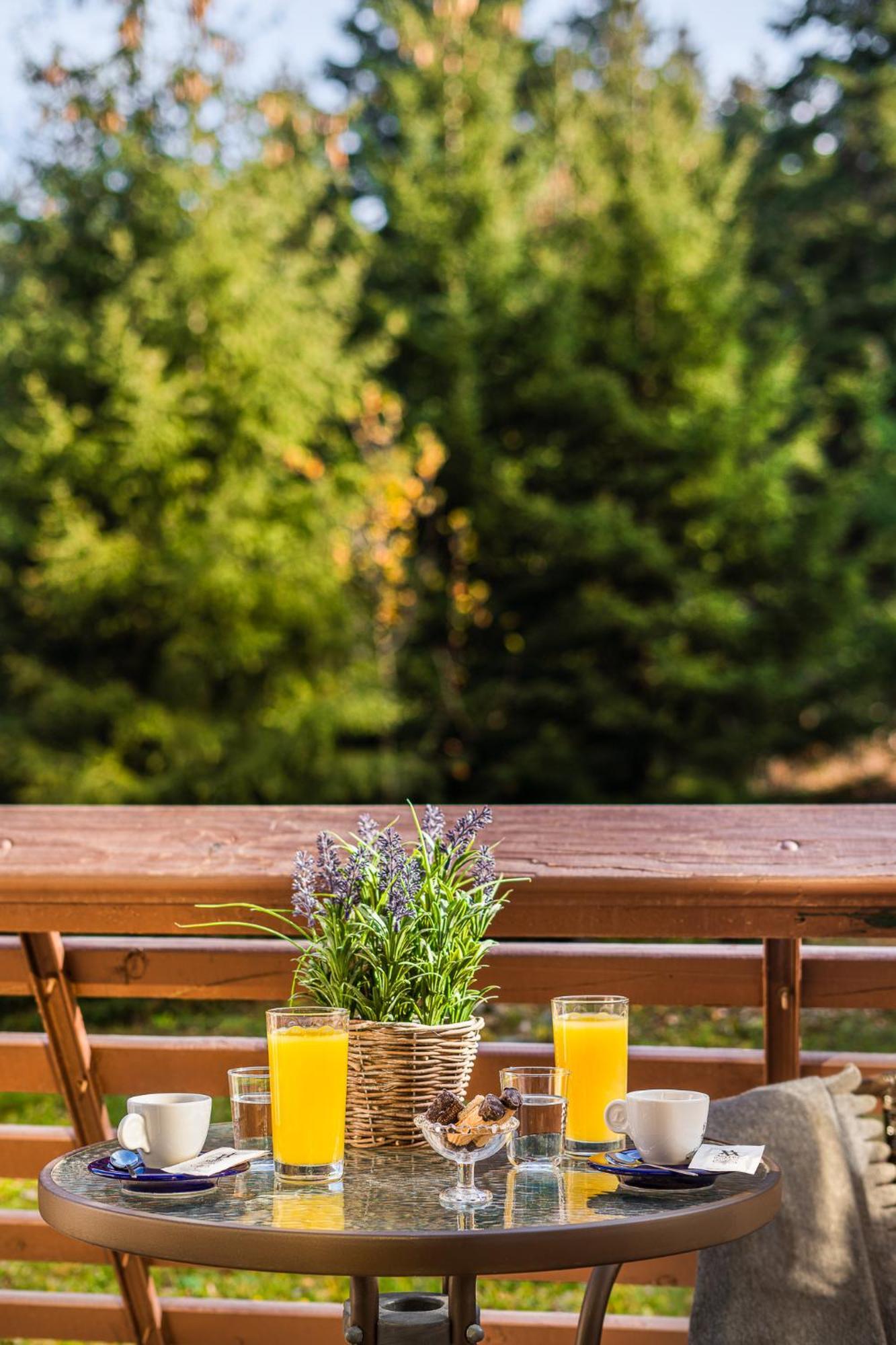 Moura Mountain & Villas Spa Hotel Borovets Buitenkant foto
